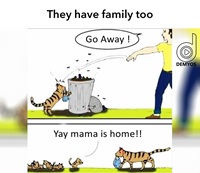 They have family too - Garbage cat kittens